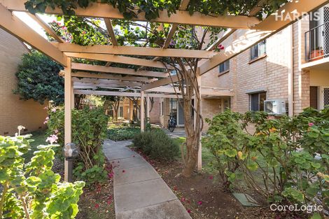 Property photo of 2/258 Ward Street North Adelaide SA 5006