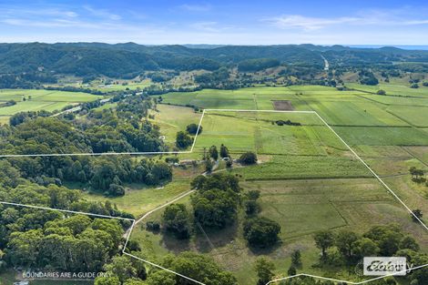Property photo of 57 Hulls Road Crabbes Creek NSW 2483