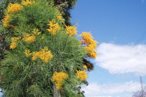 14 Darwinia Ct, Jarrahdale, WA 6124