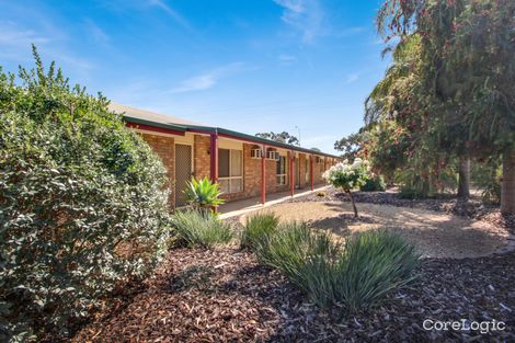 Property photo of 171 Ral Ral Avenue Renmark SA 5341