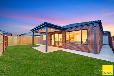 Property photo of 11 Peanut Avenue Mickleham VIC 3064