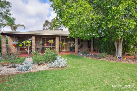 Property photo of 25 Belmont Avenue Kalgoorlie WA 6430