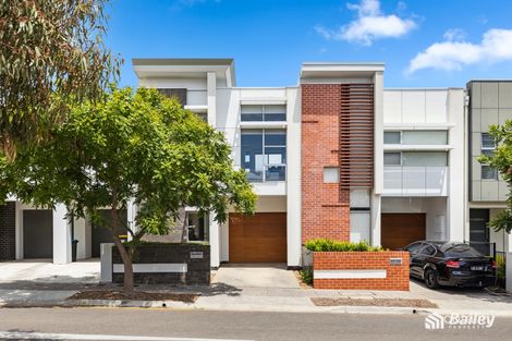 19 Piccadilly Way, Lightsview, SA 5085