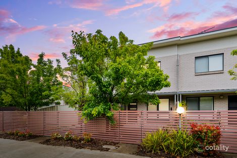 4/86 Mawson Dr, Mawson, ACT 2607