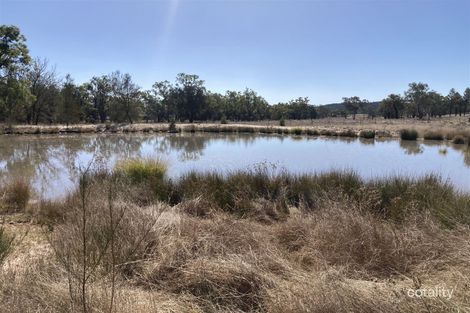 1218a Wallangra Rd, Wallangra, NSW 2360