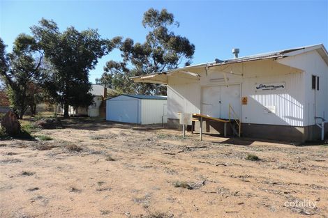 Property photo of 4 Robert Ney Crescent Warren NSW 2824