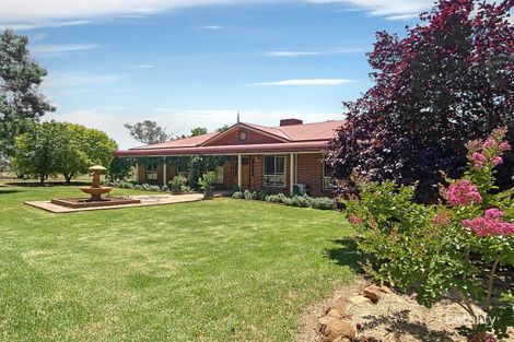 142 Goldfields Way, Temora, NSW 2666