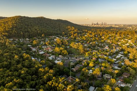 Property photo of 75 Marmindie Street Chapel Hill QLD 4069