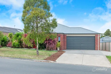 Property photo of 8 Horwood Drive Mount Clear VIC 3350