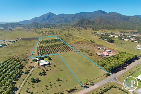 100 Williams Rd, Alligator Creek, QLD 4816