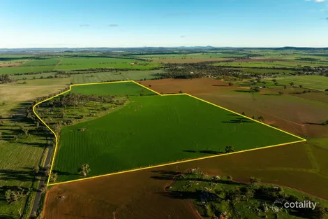 126 Coursing Park Rd, Downside, NSW 2650