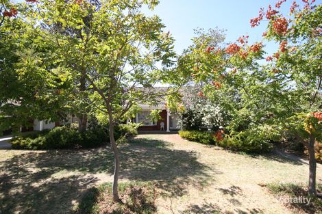 62 Pine Ave, Novar Gardens, SA 5040