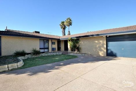 20 Hibbertia Cres, Riverton, WA 6148