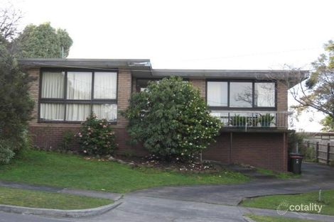 19 Hallows St, Glen Waverley, VIC 3150