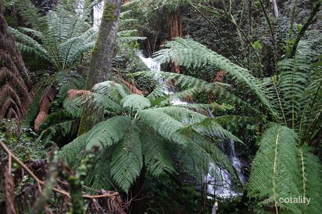 1540 Turtons Creek Rd, Woorarra West, VIC 3960