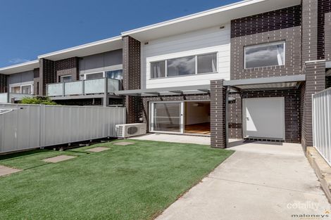 52/2 Ken Tribe St, Coombs, ACT 2611