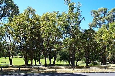 Lot 1774 The Boulevard, Floreat, WA 6014