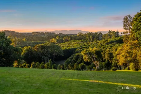 Property photo of 175 Old Byron Bay Road Newrybar NSW 2479