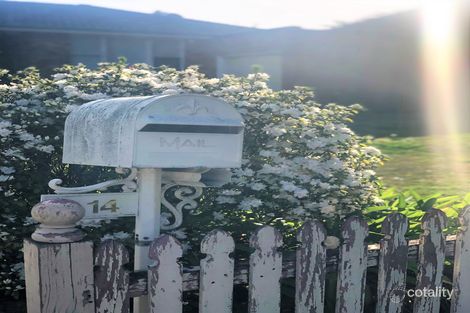 Property photo of 14 Ferncourt Avenue Roseville NSW 2069