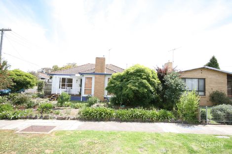 6 Mernda Pde, Belmont, VIC 3216