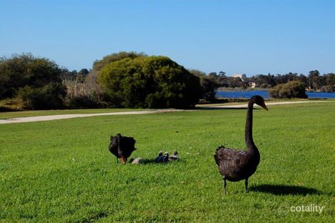 Property photo of 9B/49 Herdsman Parade Wembley WA 6014