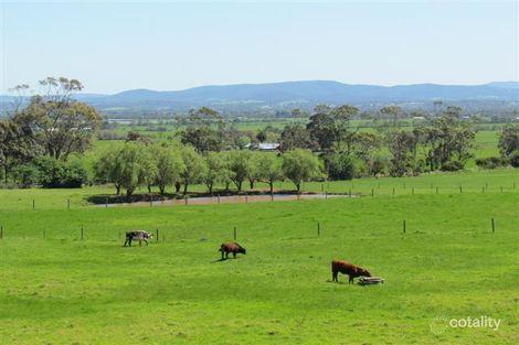 Property photo of 415 Coster Road Ripplebrook VIC 3818
