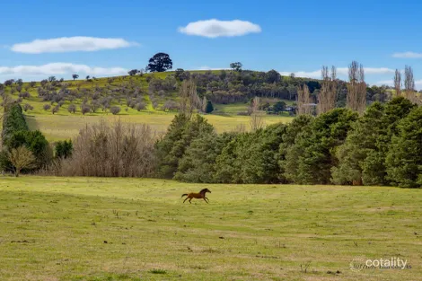 Property photo of 72 Little River Road Braidwood NSW 2622