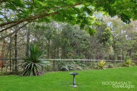 Property photo of 56 Jacksonia Place Noosaville QLD 4566