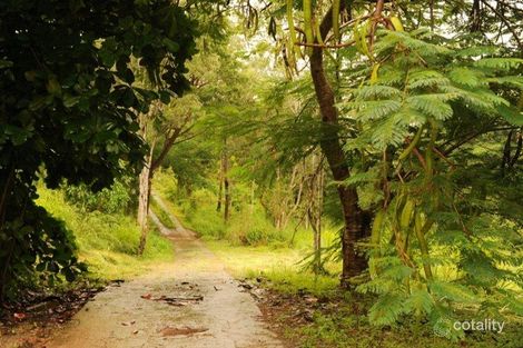 Property photo of 233 Paluma Road Woodwark QLD 4802