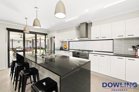 Property photo of 15 Peachey Circuit Karuah NSW 2324