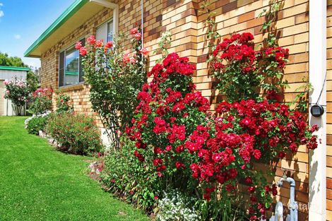 Property photo of 23 Salisbury Street Uralla NSW 2358