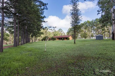 186 Whiteman Creek Rd, The Whiteman, NSW 2460