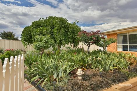 Property photo of 18 Betty Krake Drive Red Cliffs VIC 3496