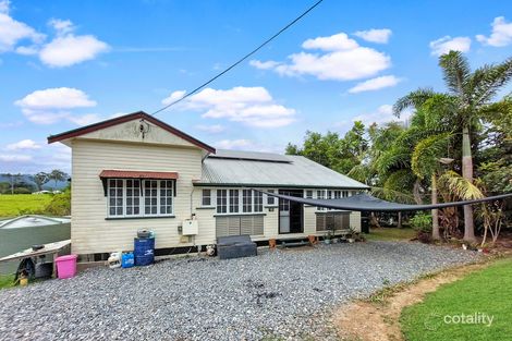 Property photo of 16 Button Close Julatten QLD 4871