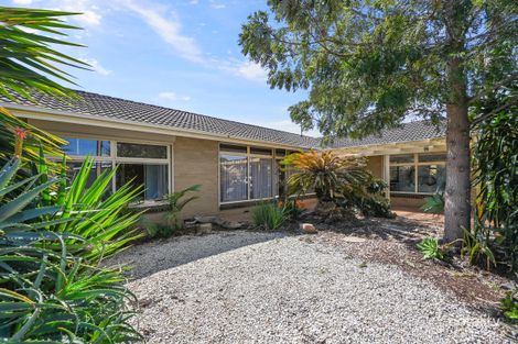Property photo of 18 Coral Avenue Semaphore Park SA 5019