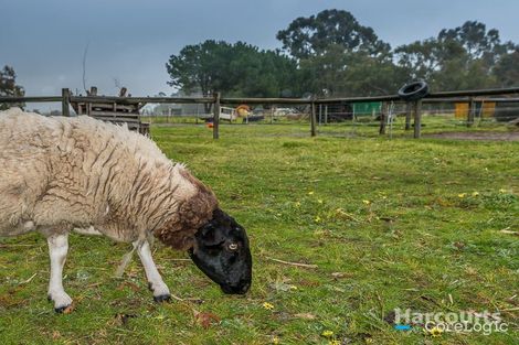 Property photo of 1299 Railway Parade Bullsbrook WA 6084