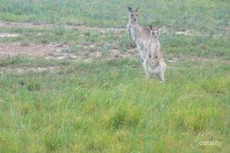 3 Dipperu Ct, Branyan, QLD 4670