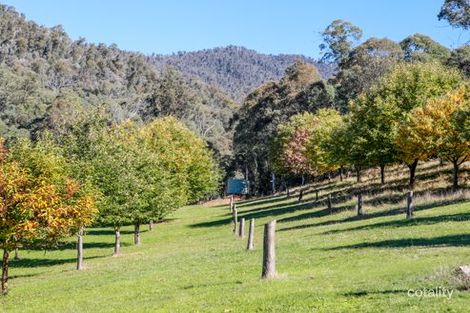 240 Simmonds Creek Rd, Tawonga South, VIC 3698