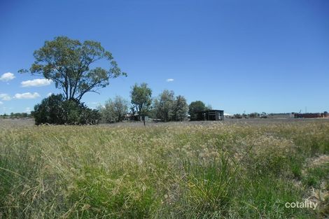 Property photo of 10 Killarney Street Dulacca QLD 4425