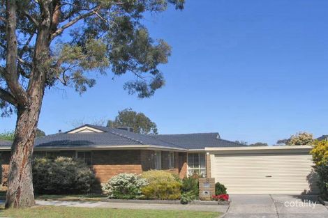 8 Donbirn Way, Vermont South, VIC 3133