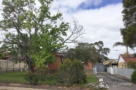 Property photo of 18 Oak Avenue Tonsley SA 5042