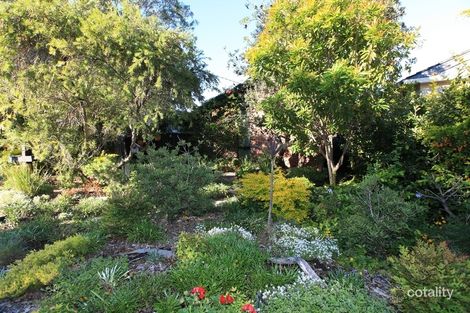 Property photo of 4 Collier Street Redhead NSW 2290