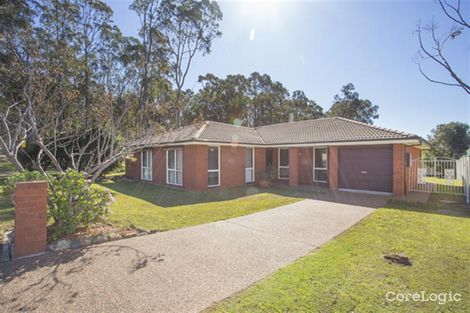 Property photo of 31 Taylor Avenue Thornton NSW 2322