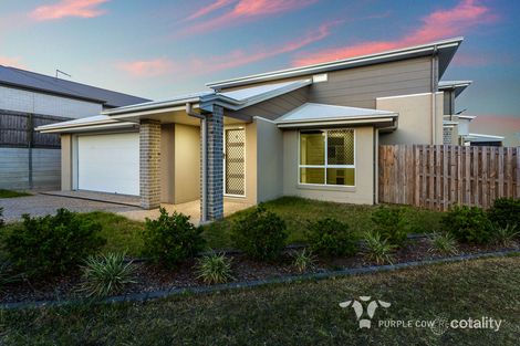 1/7 Trinity Cres, Springfield Lakes, QLD 4300