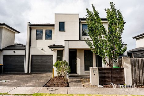 17 Tippet St, Clayton South, VIC 3169