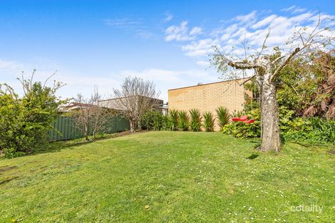 Property photo of 22 Davison Street Mount Gambier SA 5290