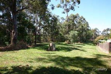 Property photo of 6 Primate Place Molendinar QLD 4214