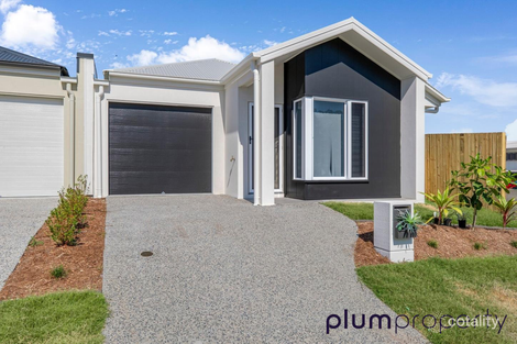 24 Gazania St, Ripley, QLD 4306