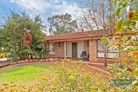 Property photo of 21 St Albans Road Evanston Park SA 5116