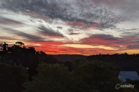 Property photo of 49 Helvetia Avenue Berowra NSW 2081